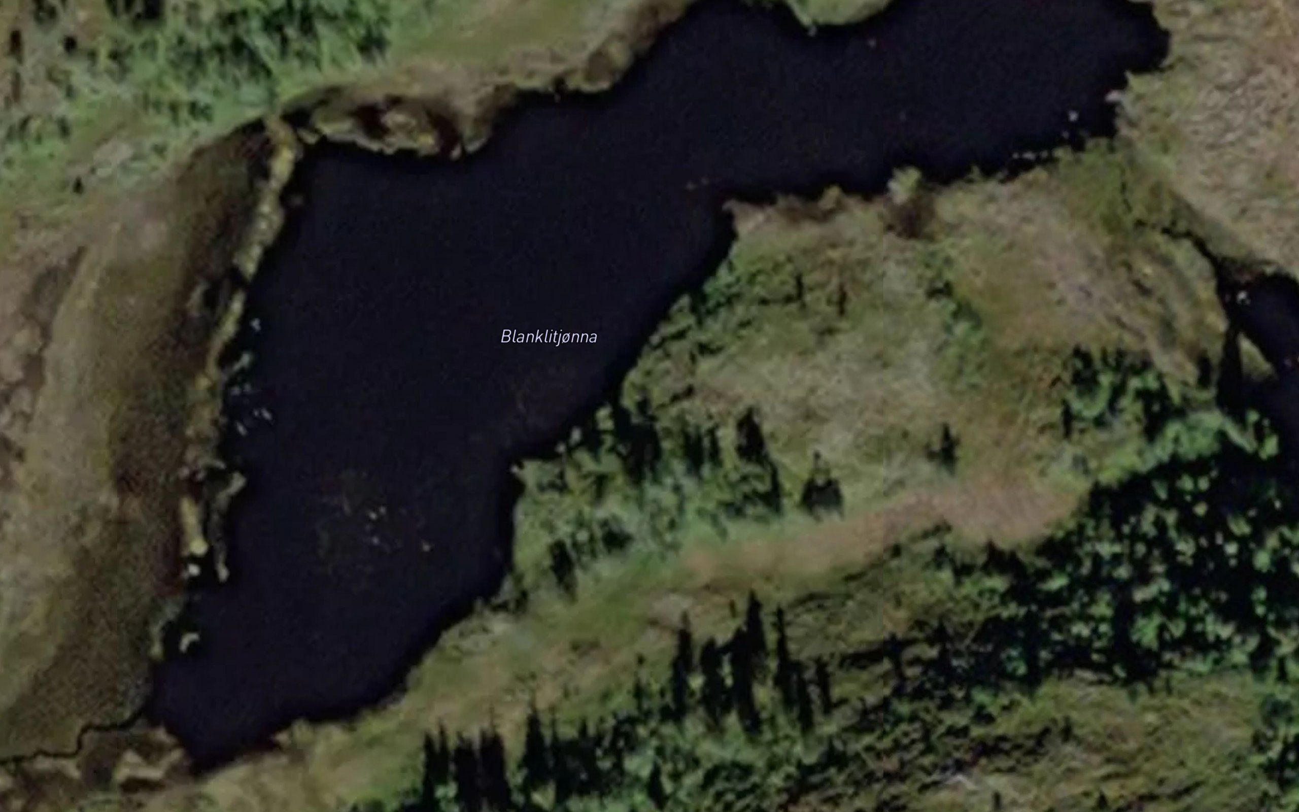 Blanklitjorna