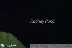 Rodney Pond