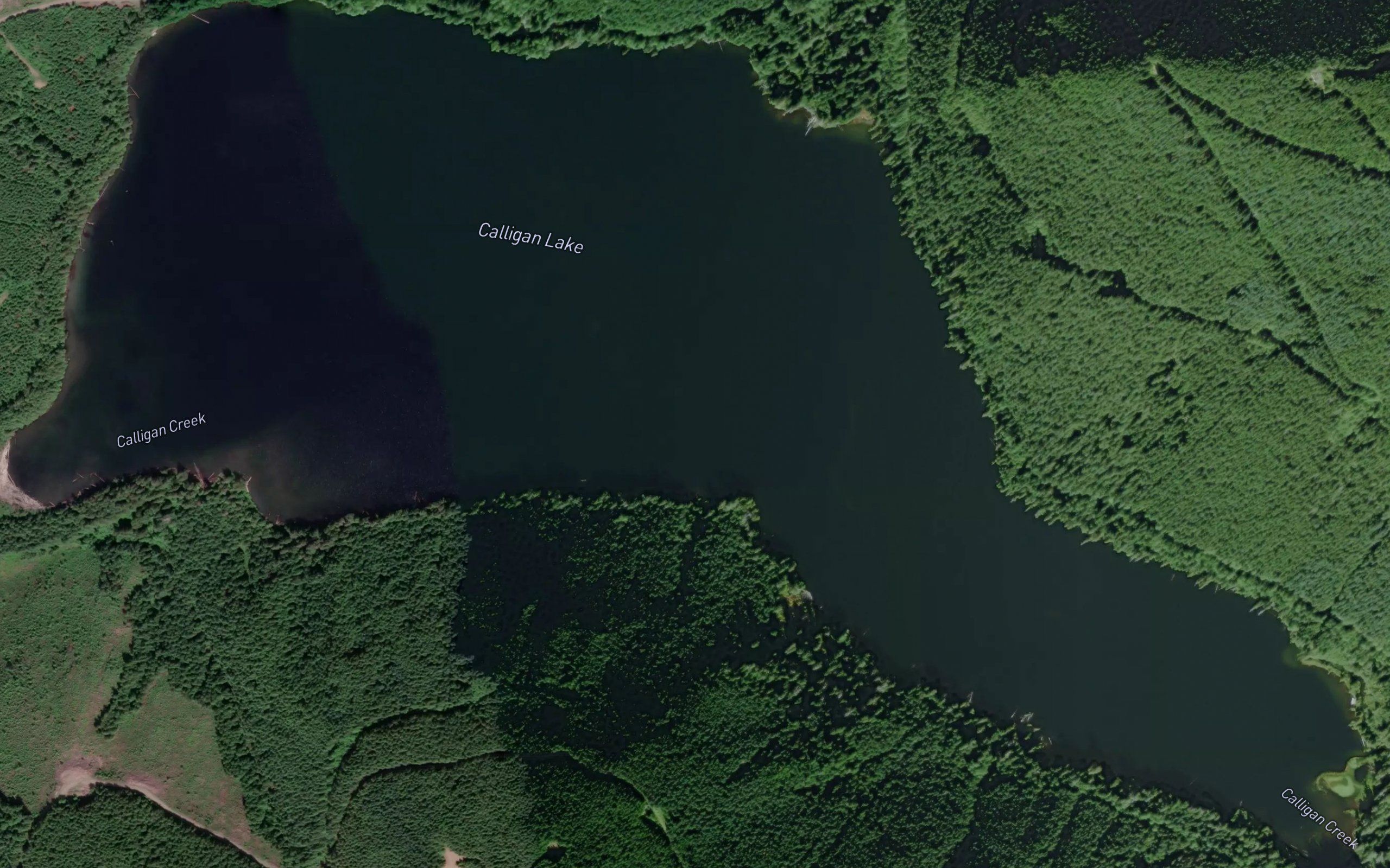 Calligan Lake