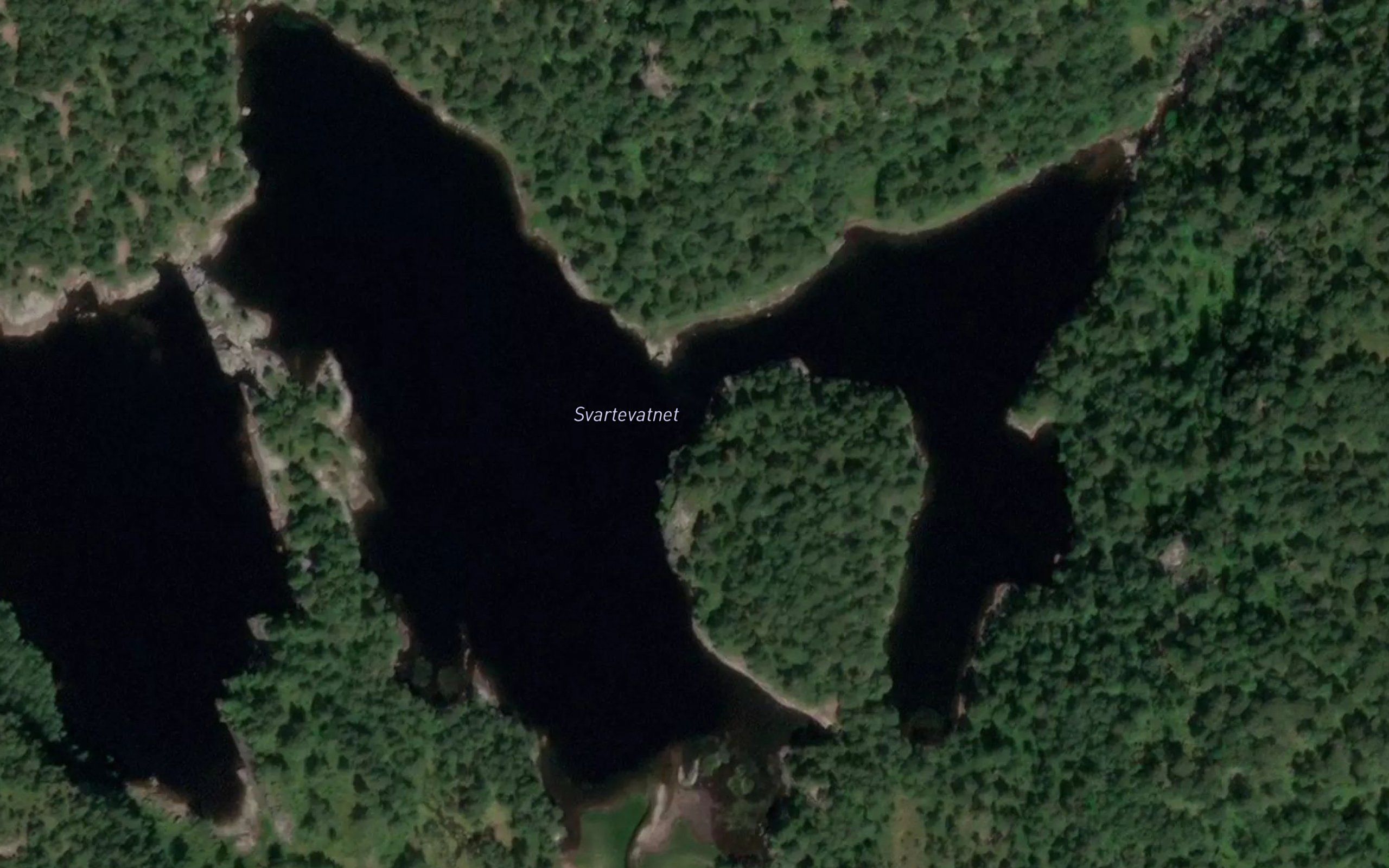 Svarte - vatn