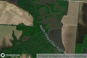 Pond Creek