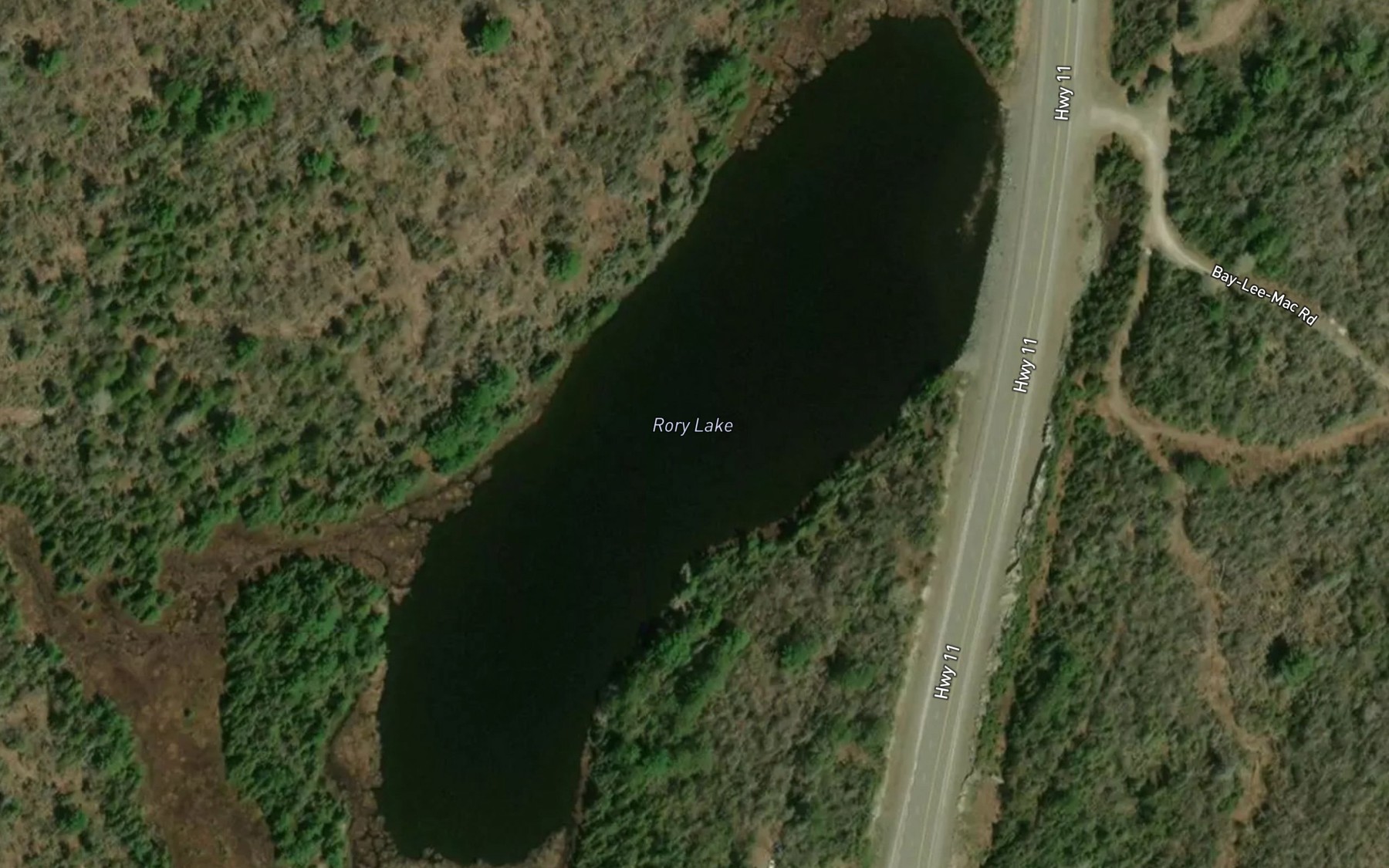 Satellite map of the Rory Lake