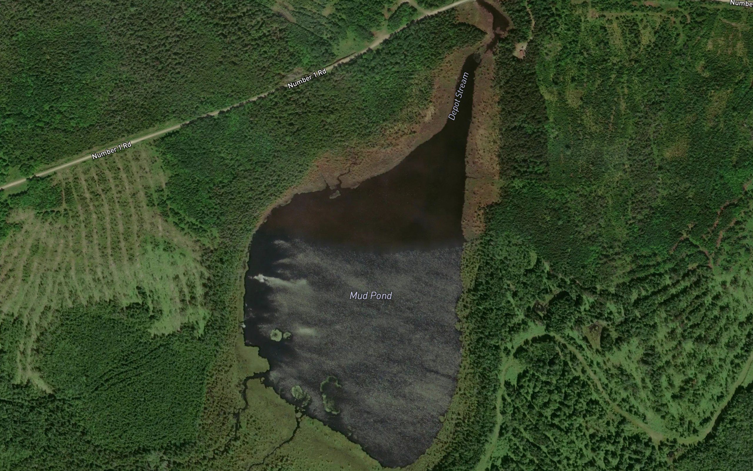 Mud Pond