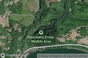 Cameron Creek