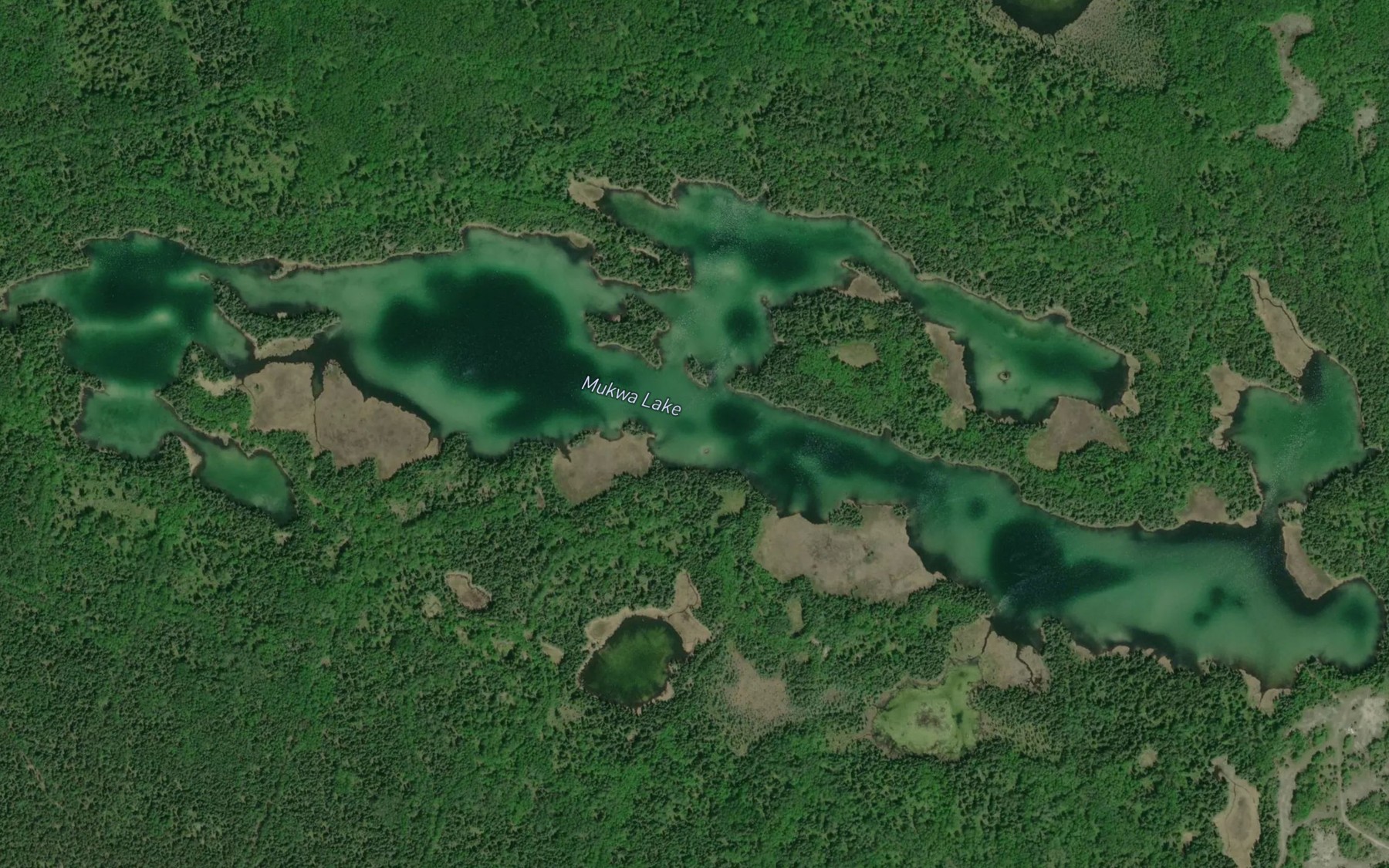 Satellite map of the Mukwa Lake