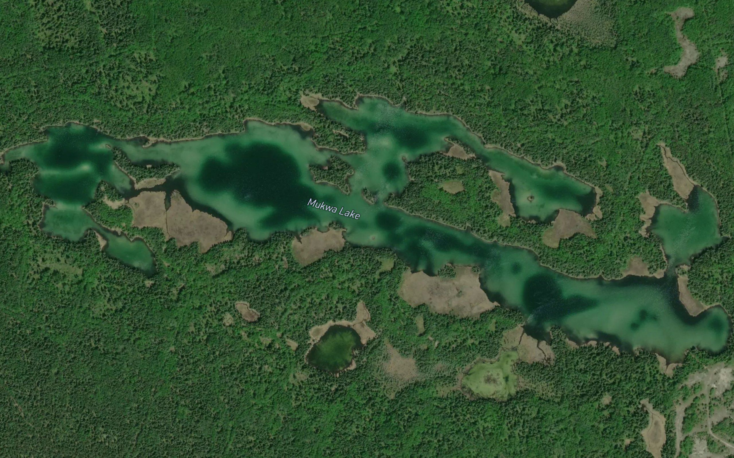 Mukwa Lake