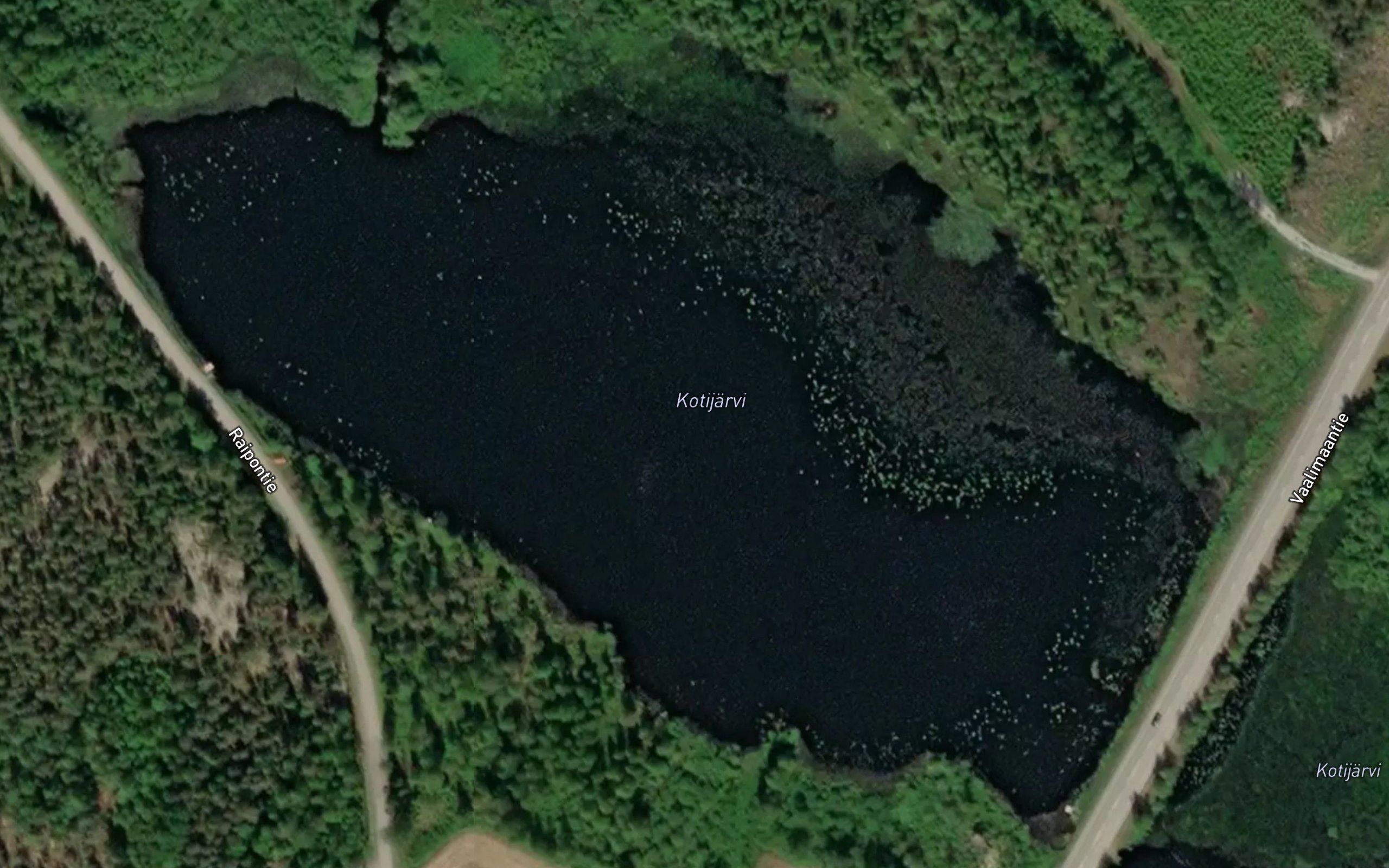 Kotijarvi