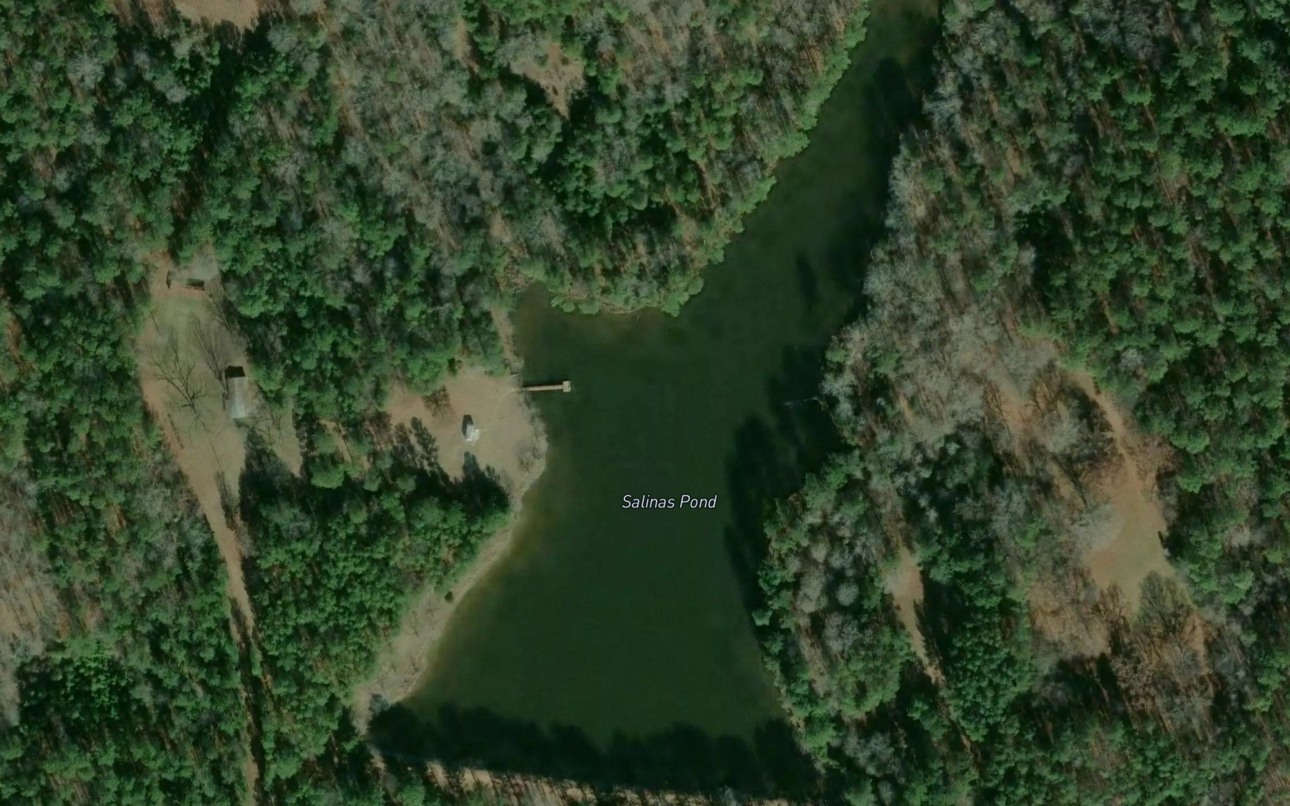 Salinas Pond
