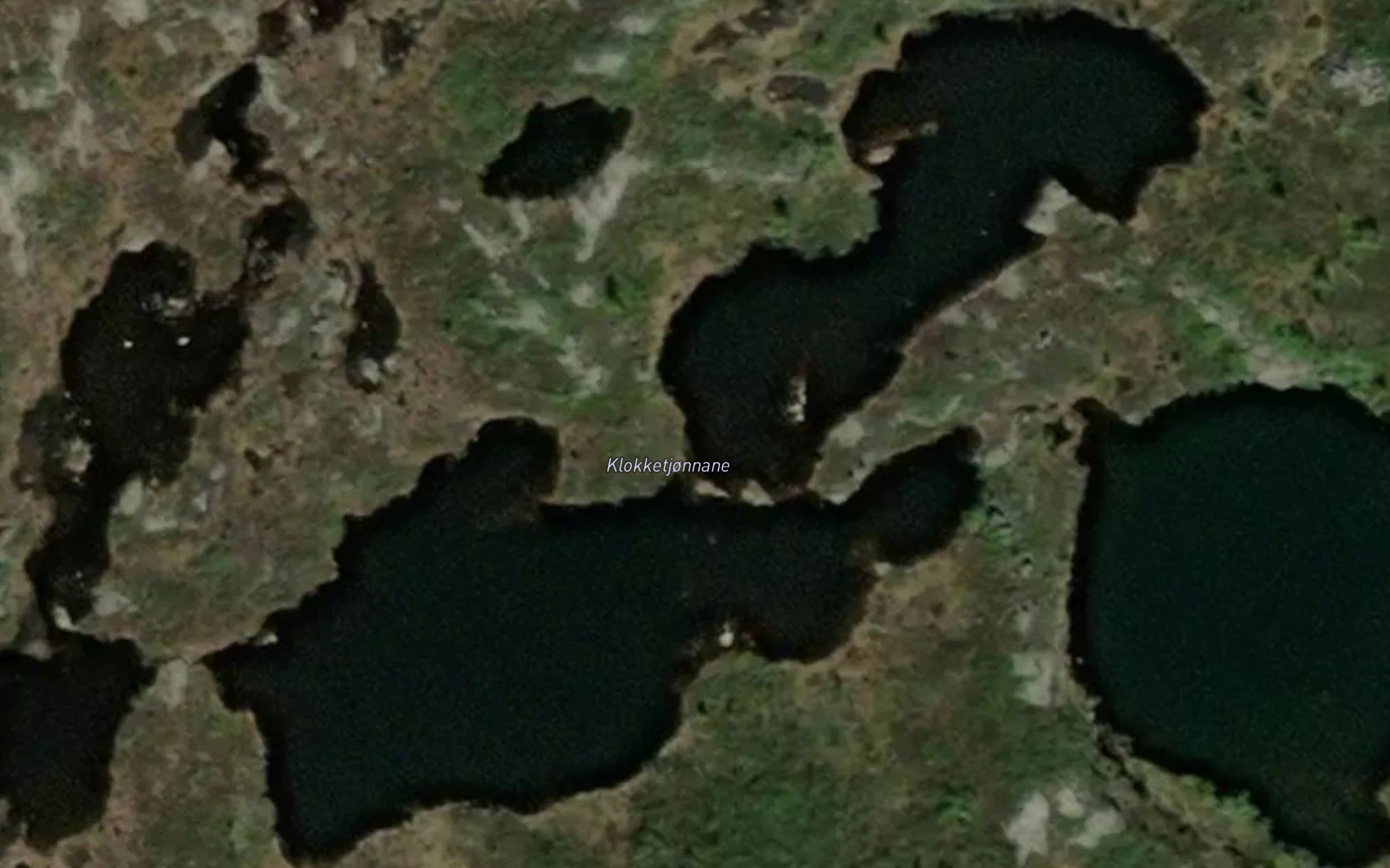 Klokketjonnane