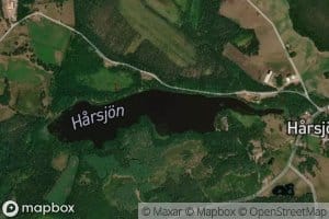 Harsjon