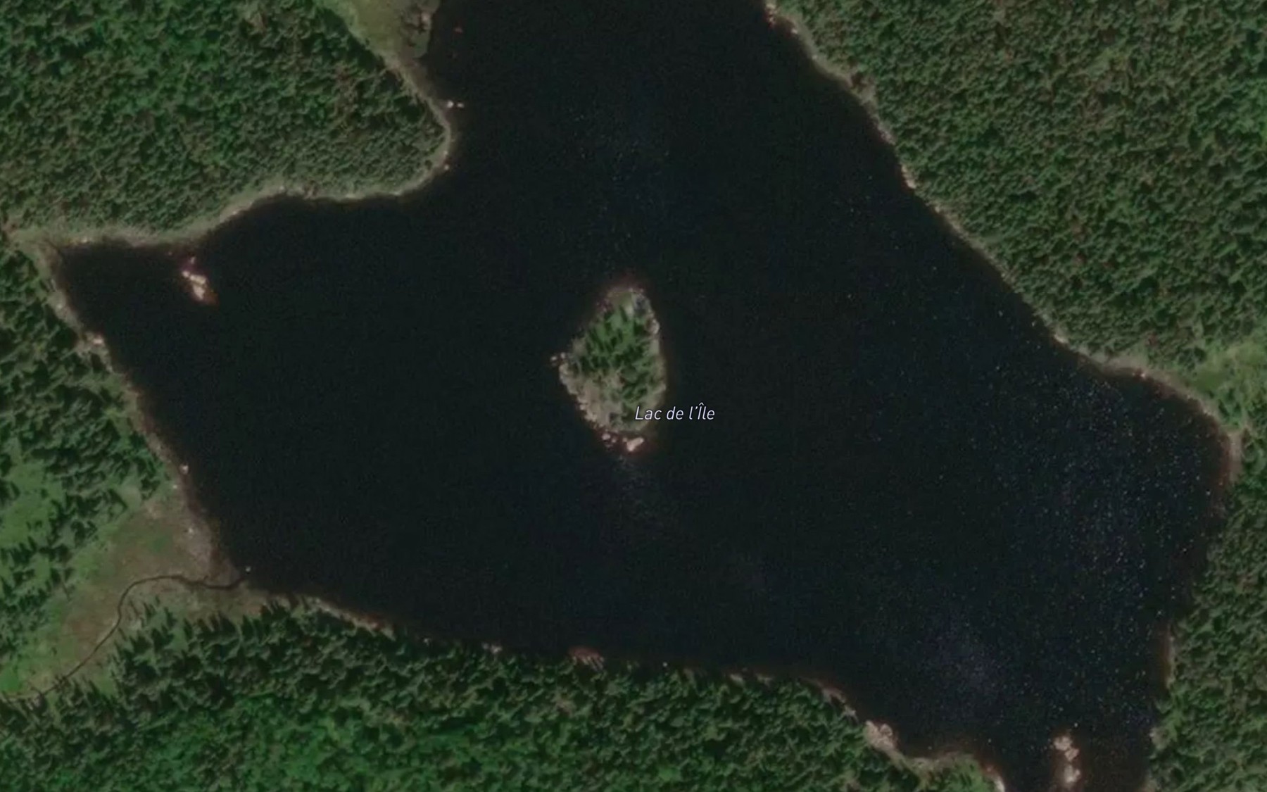 Satellite map of the Lac de l'Ile