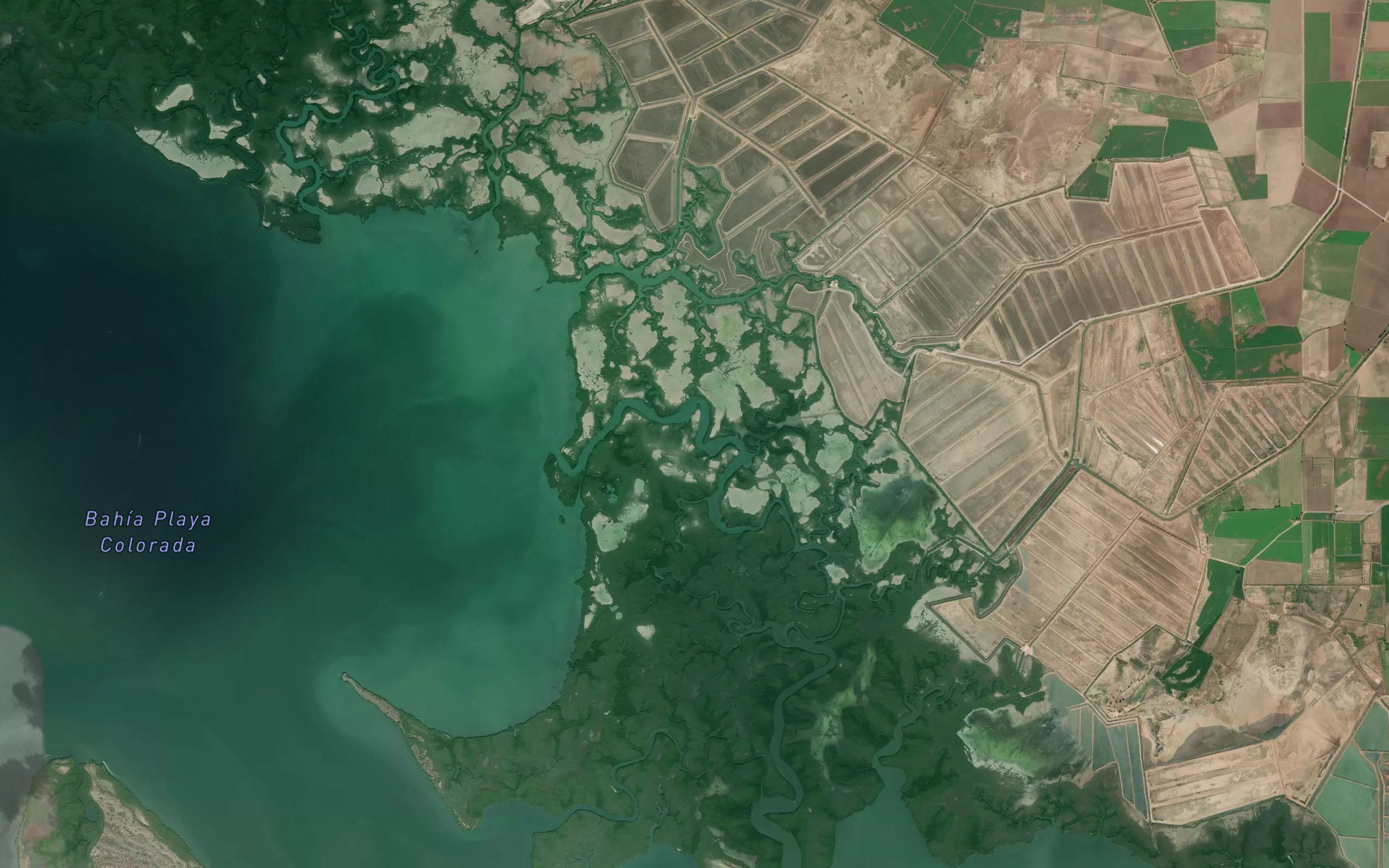 Estero el Mangion