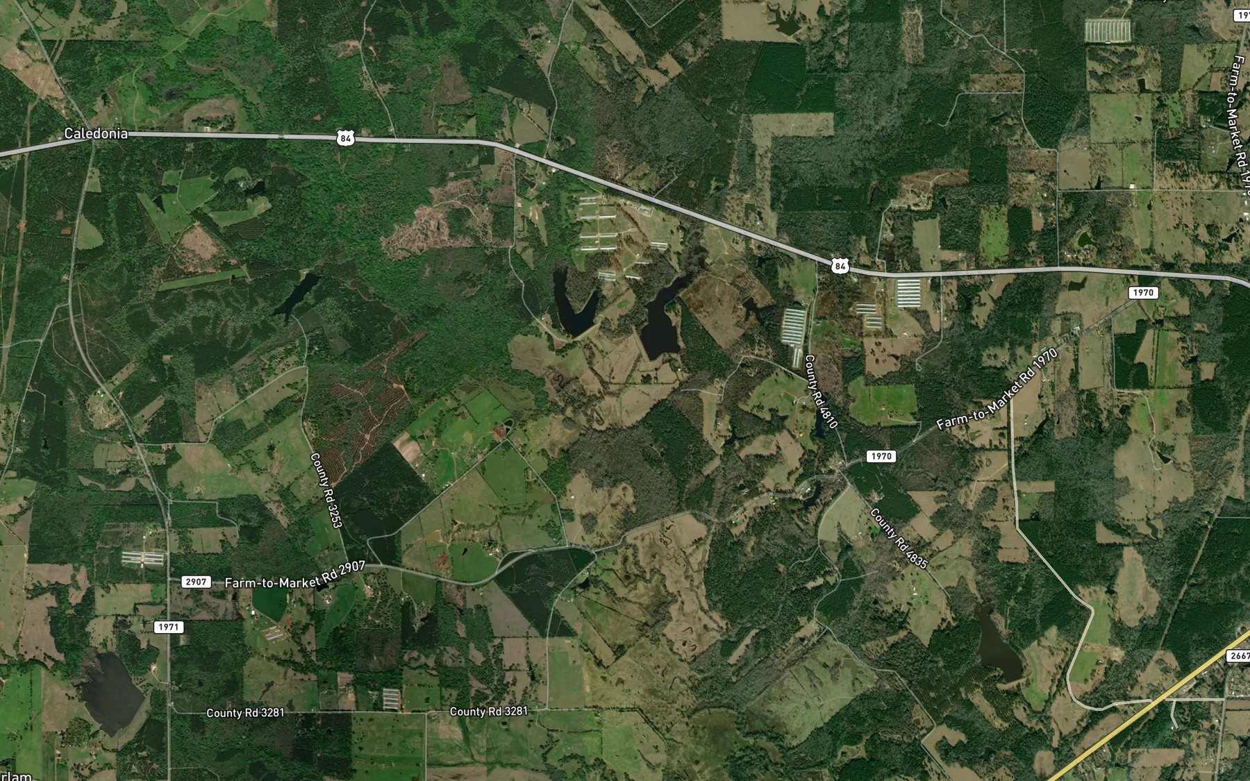 Satellite map of the Big Branch