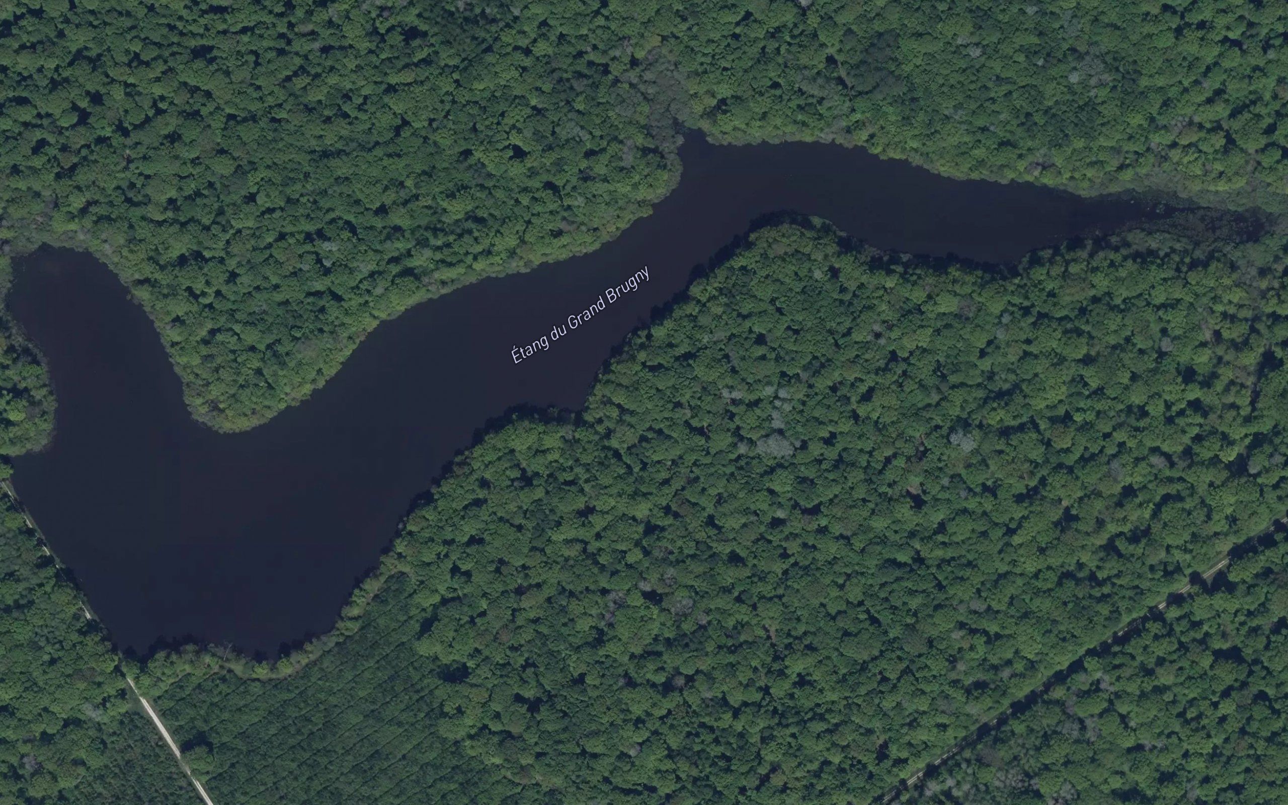 Etang de la Demoiselle
