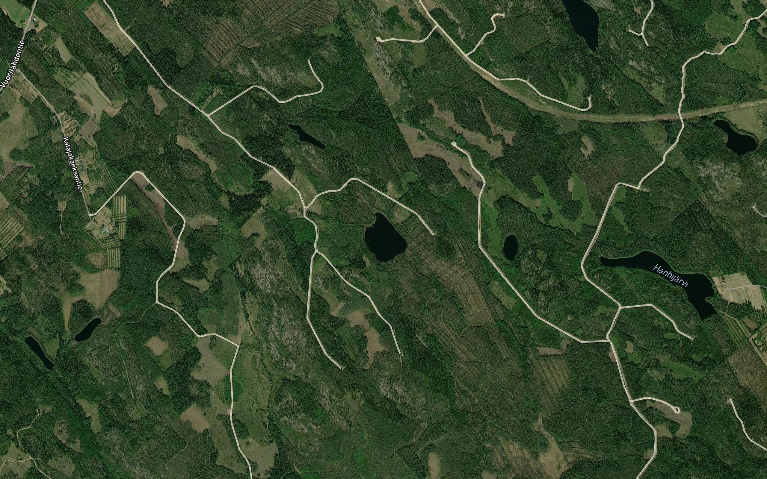 Pyoreinen