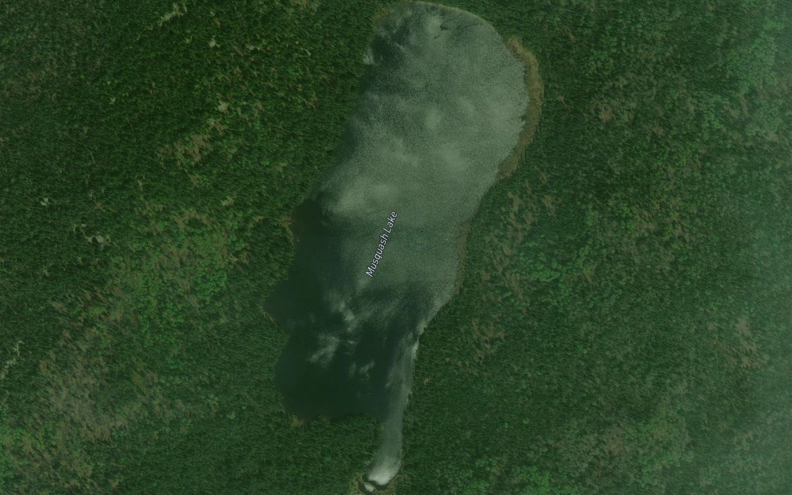 Musquash Lake