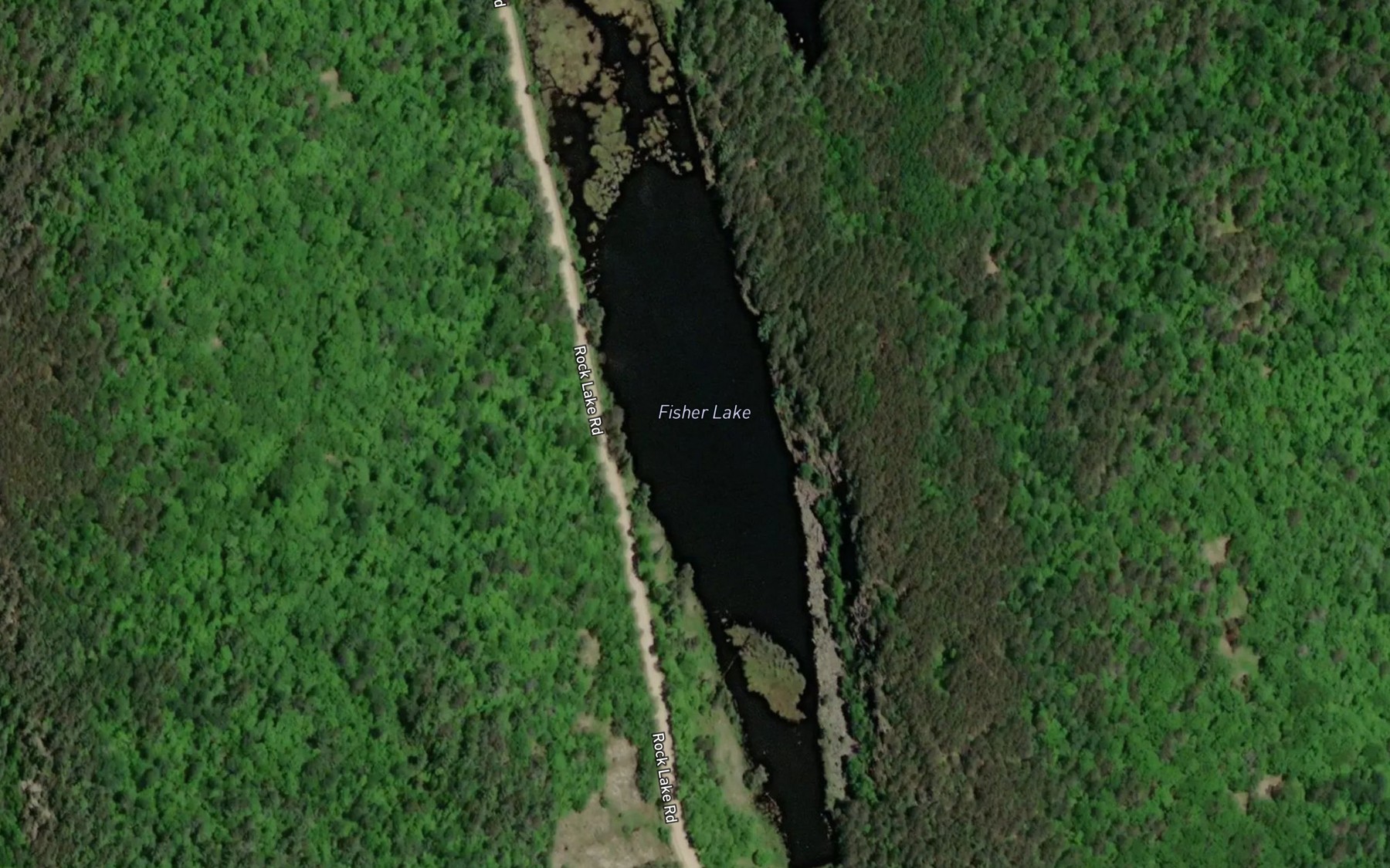 Satellite map of the Fisher Lake