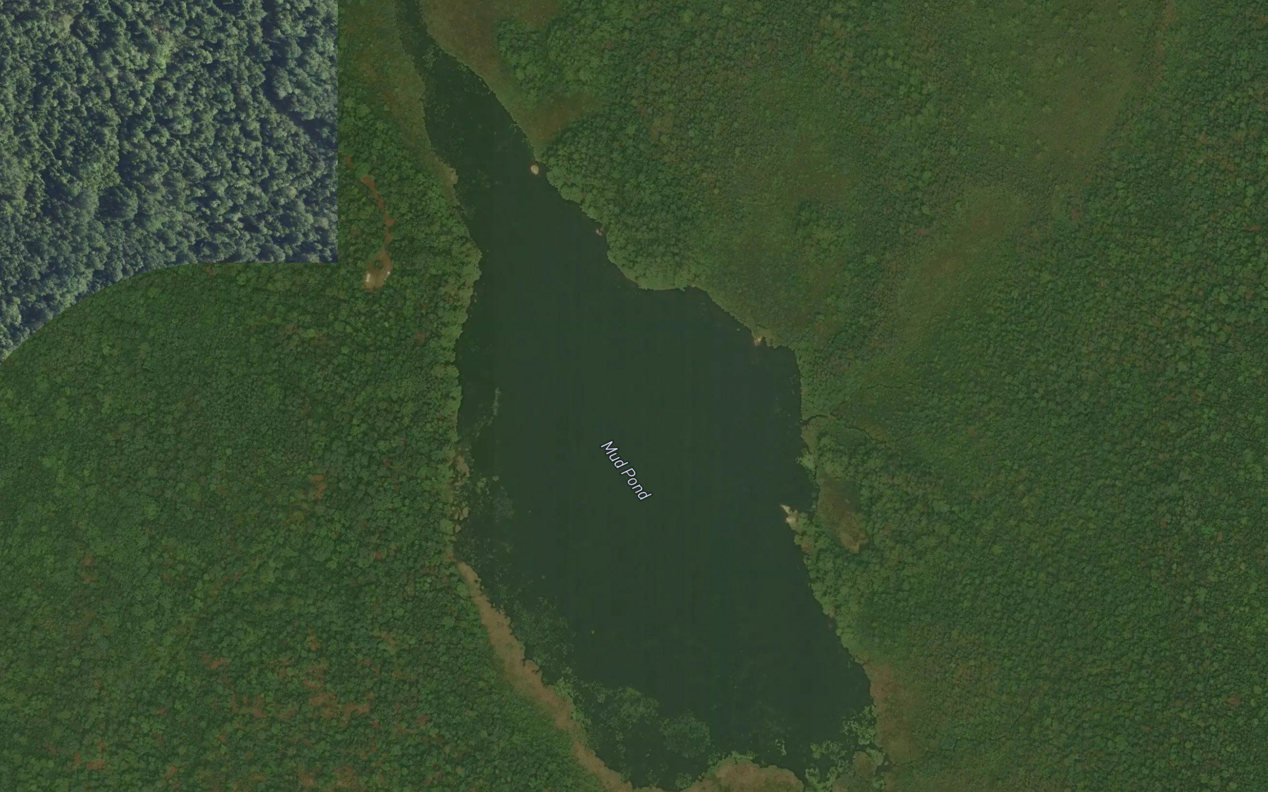 Mud Pond