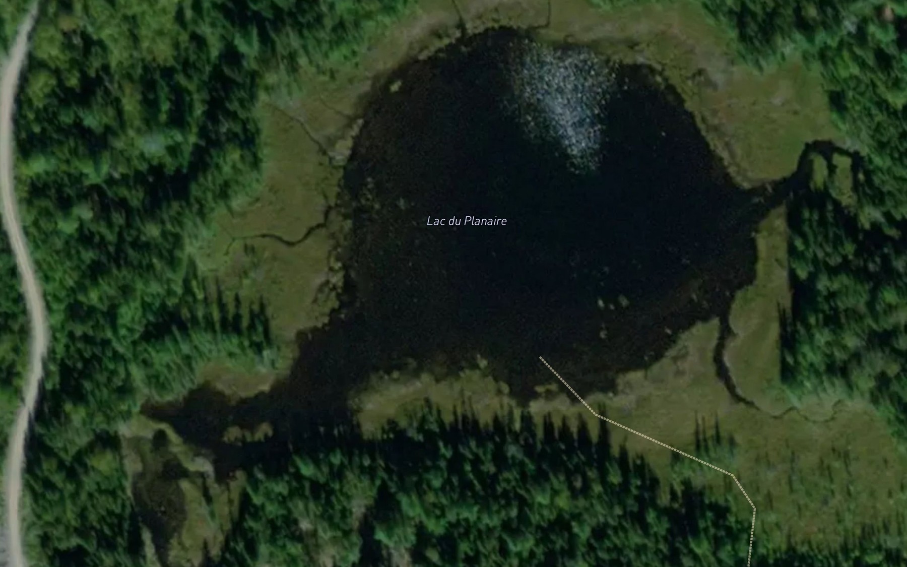 Satellite map of the Lac du Planaire
