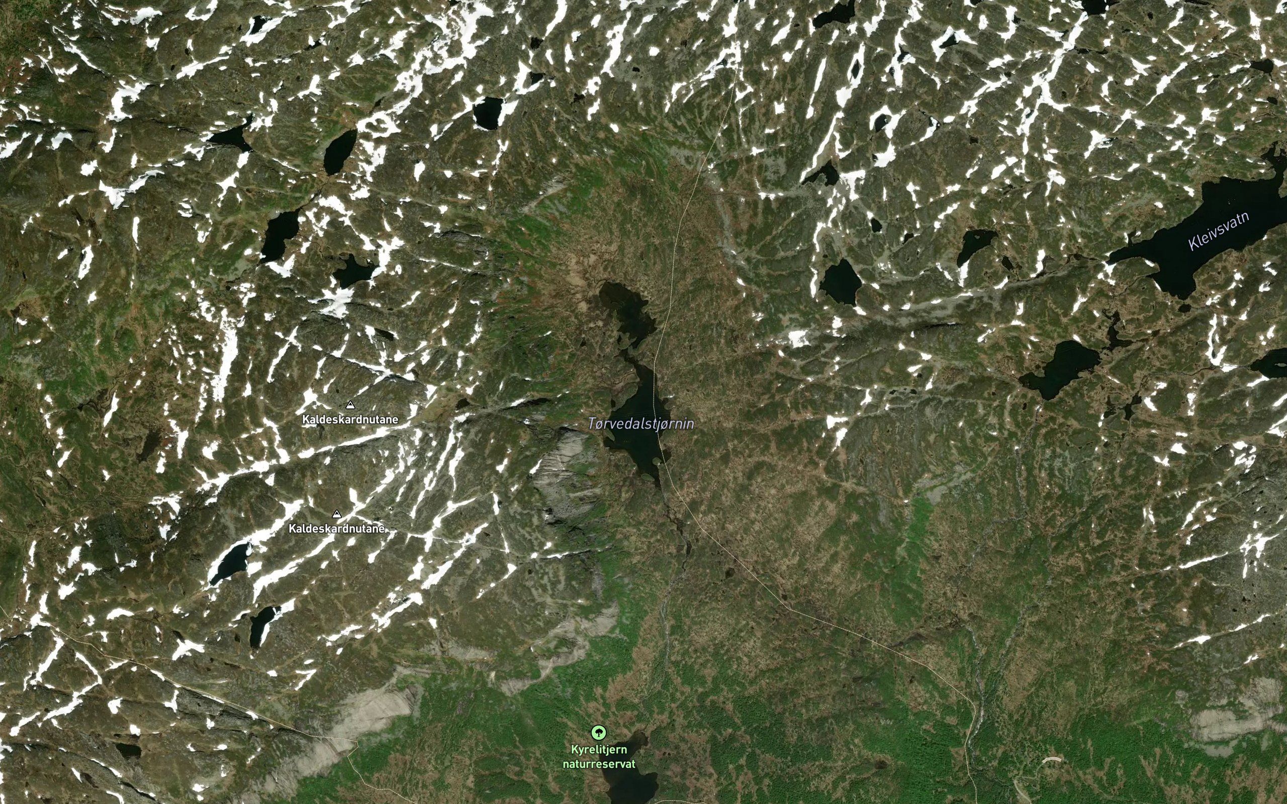 Torvedalstjornin