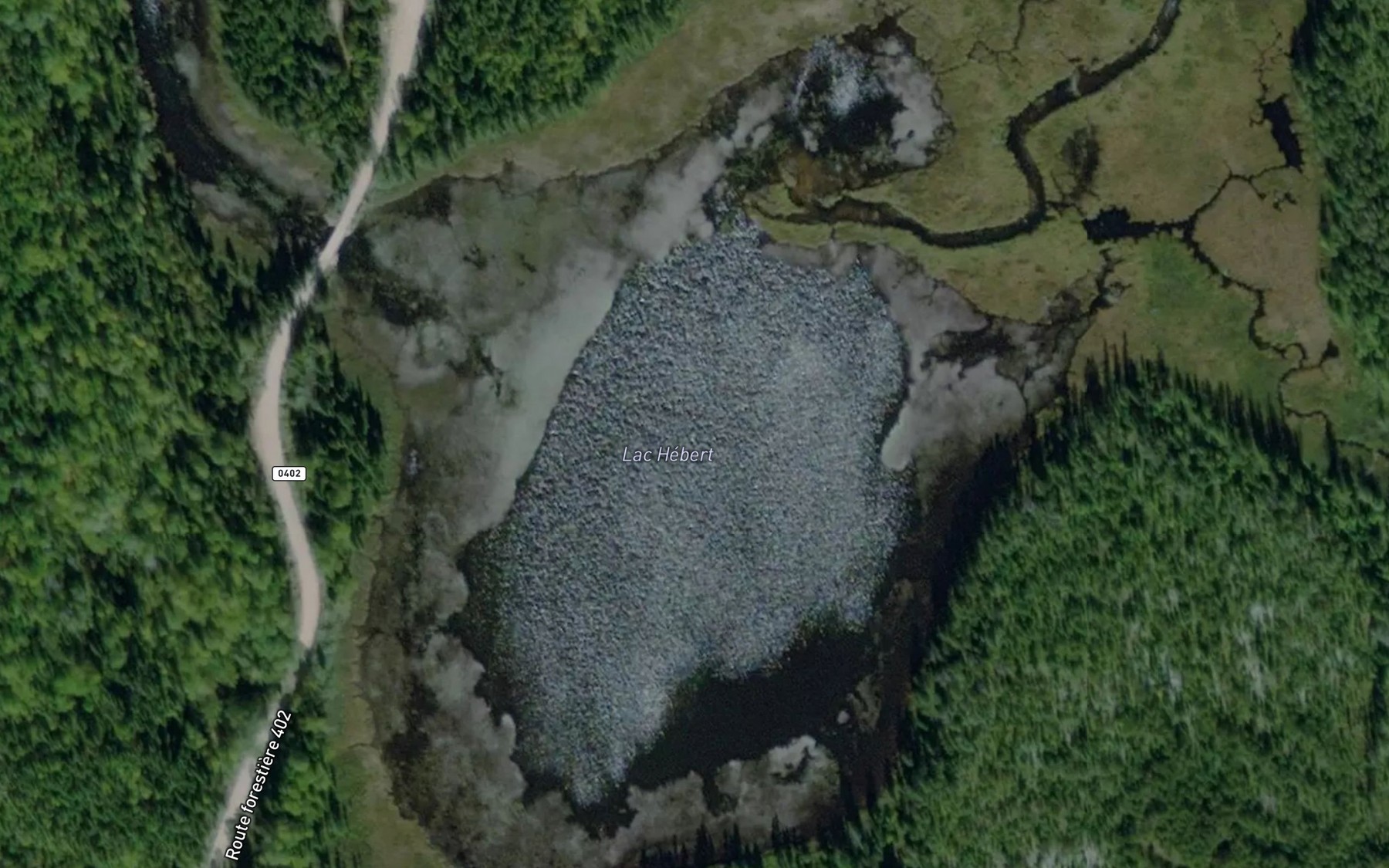 Satellite map of the Lac Hebert