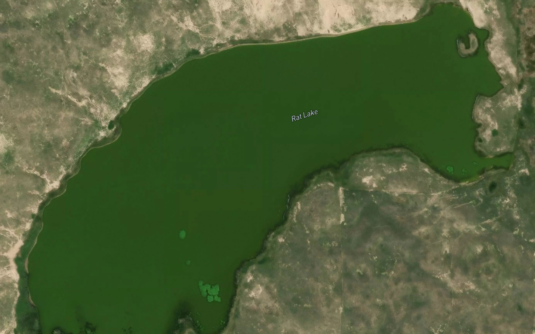 Satellite map of the Rat Lake