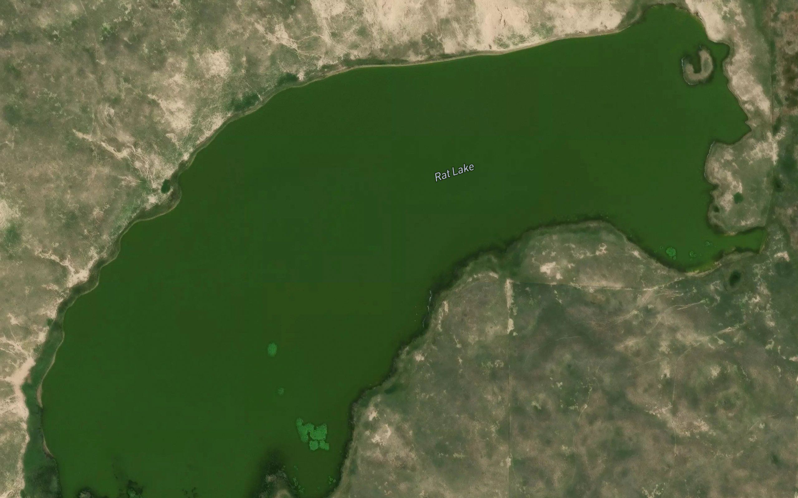 Rat Lake