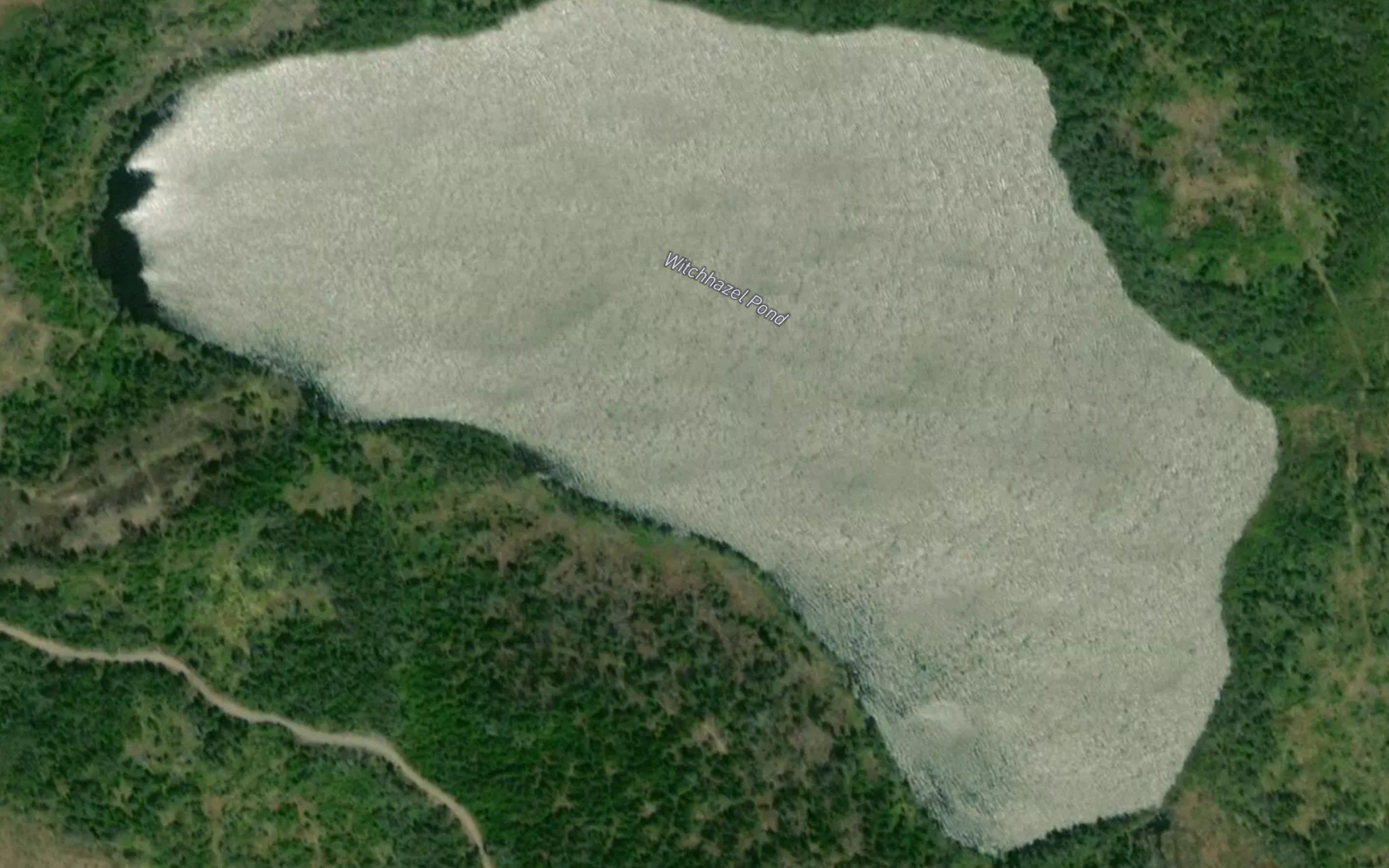 Witchhazel Pond