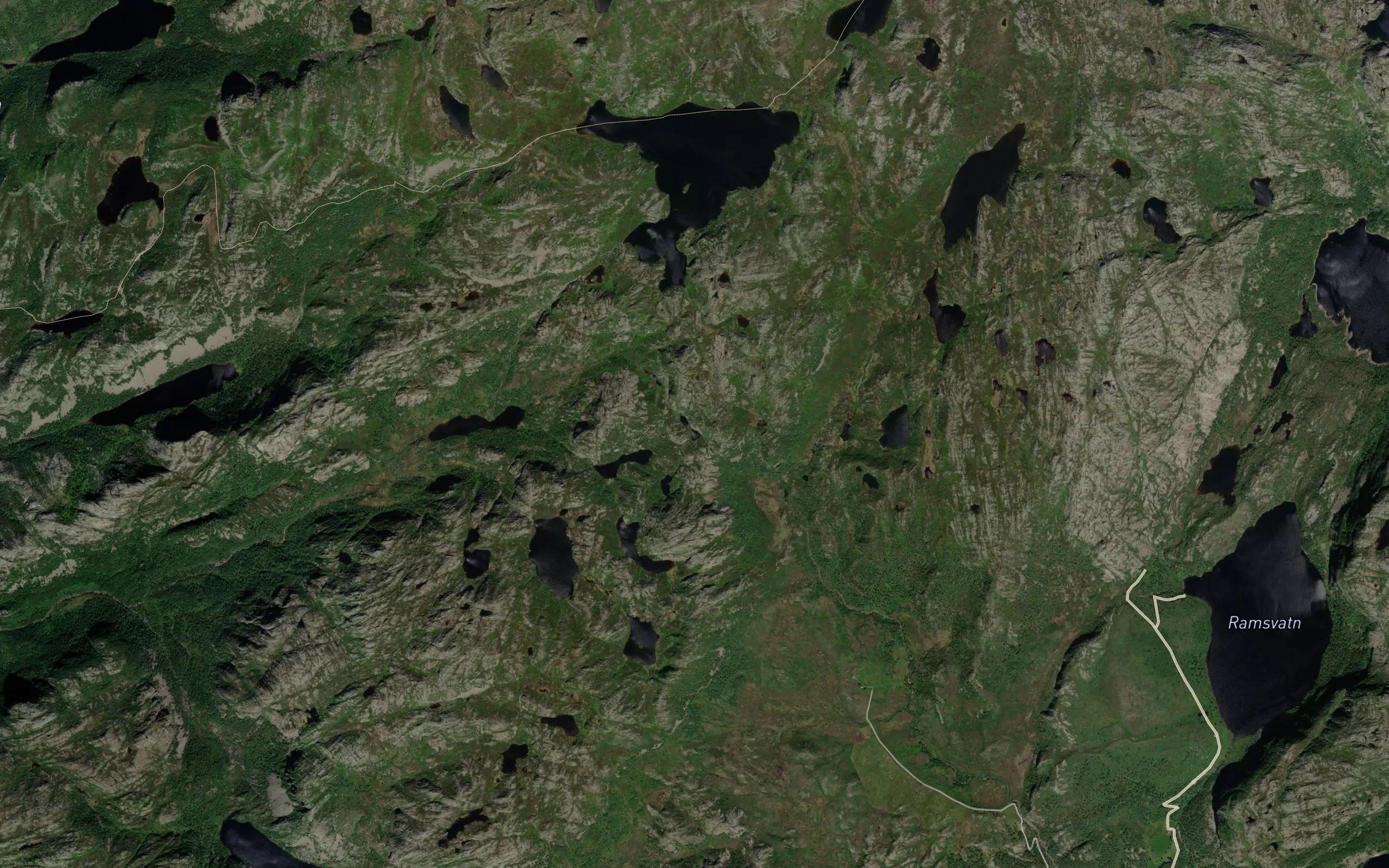 Fossantjorn