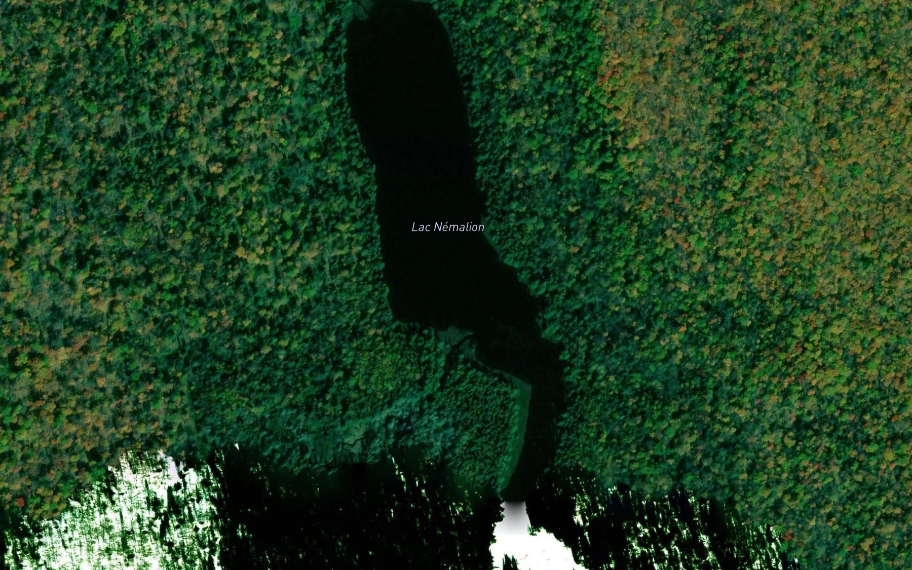Satellite map of the Lac Nemalion