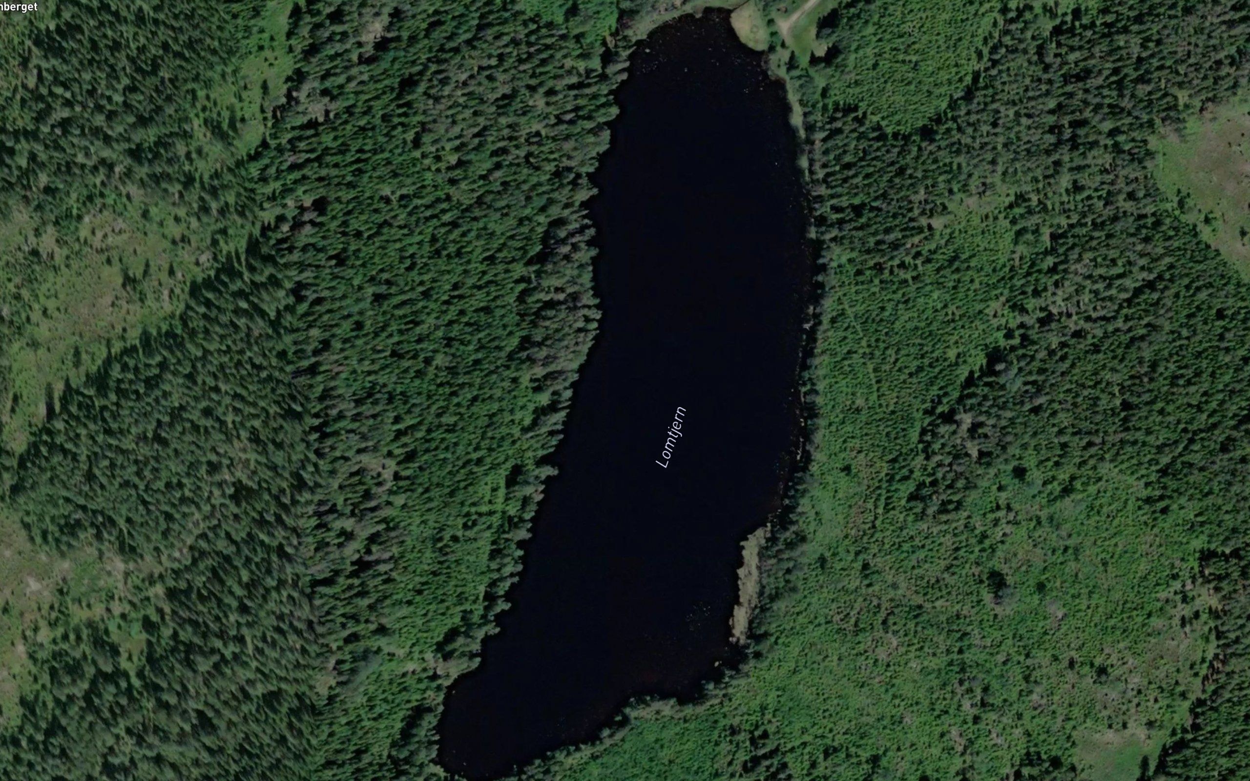 Lomtjern
