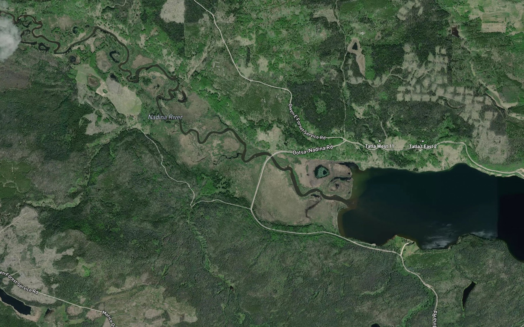 Satellite map of the Nadina River