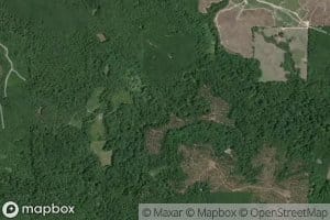 Opossum Branch