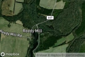 Reedy Creek