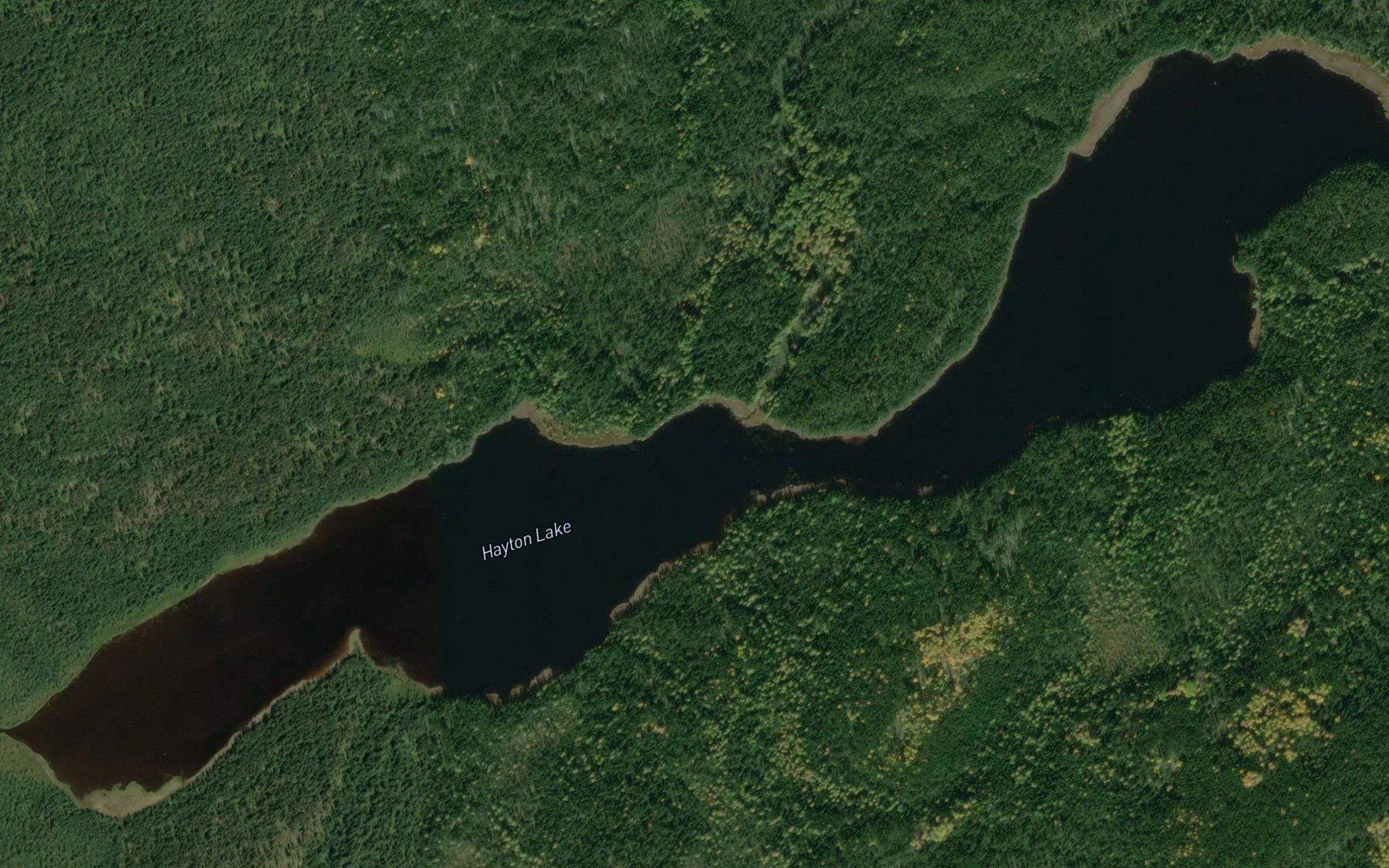 Satellite map of the Hayton Lake