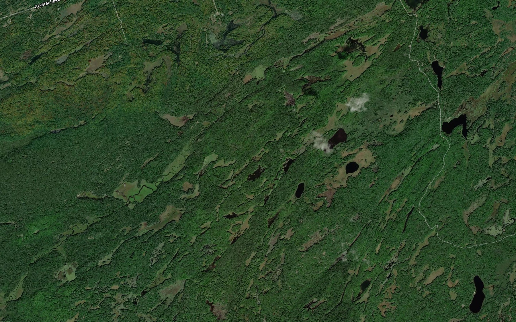 Satellite map of the Loom Creek