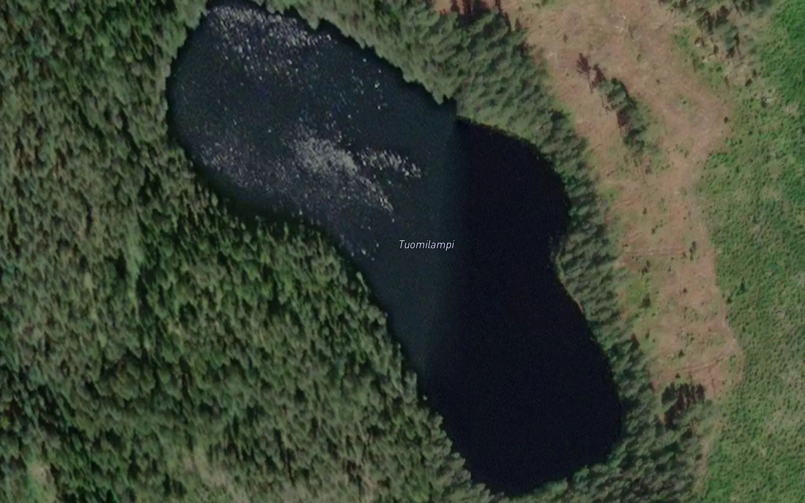 Tuomilampi
