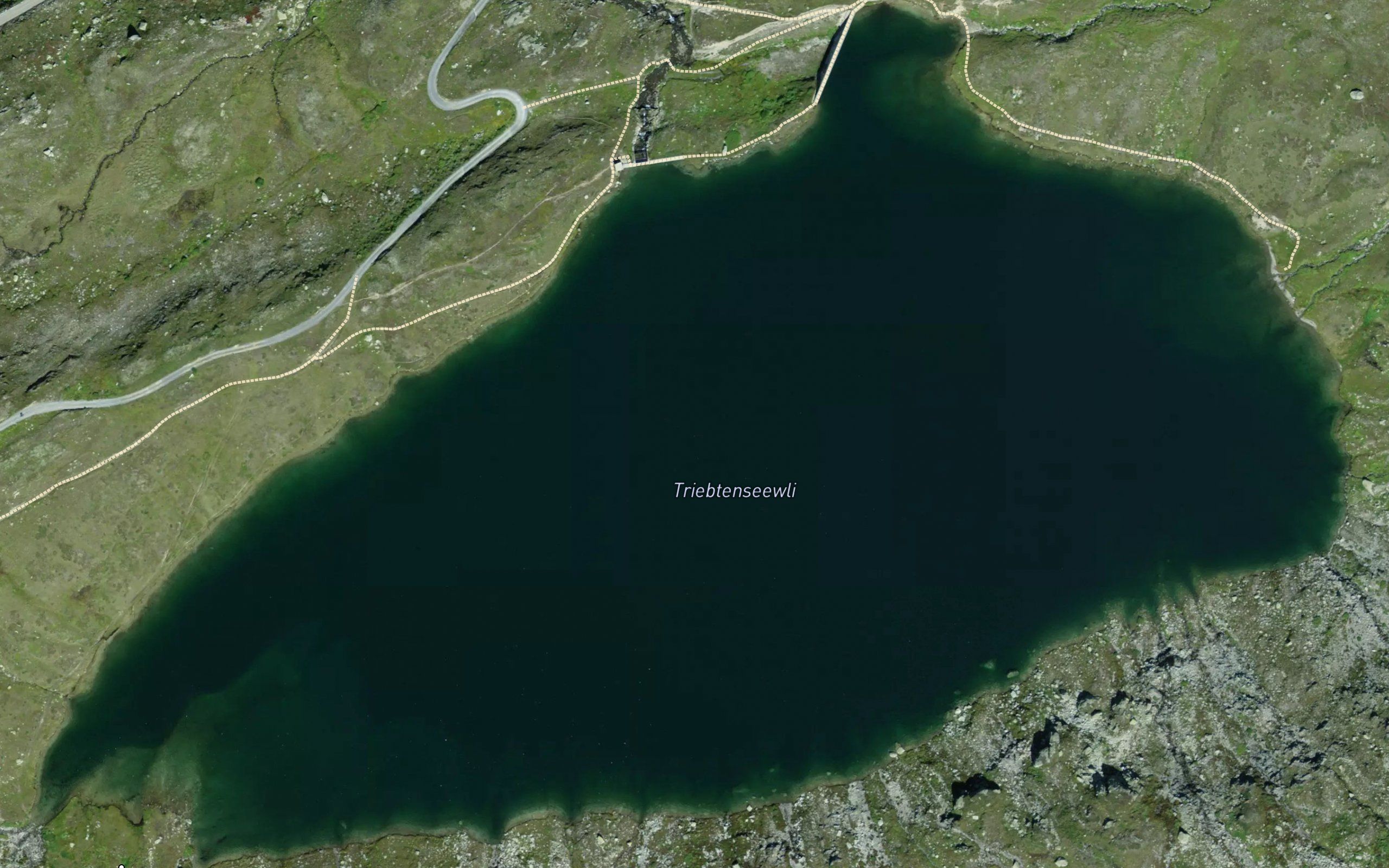 Triebtenseewli