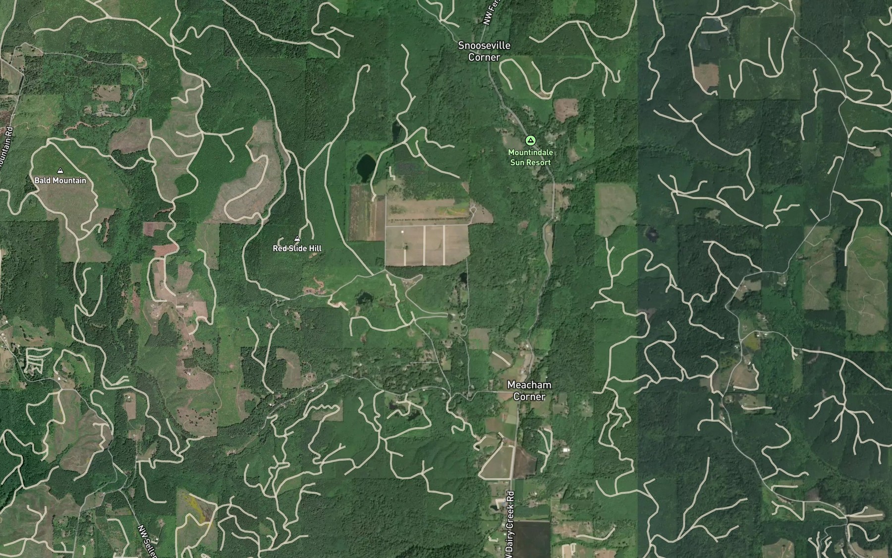 Satellite map of the Fern Spring