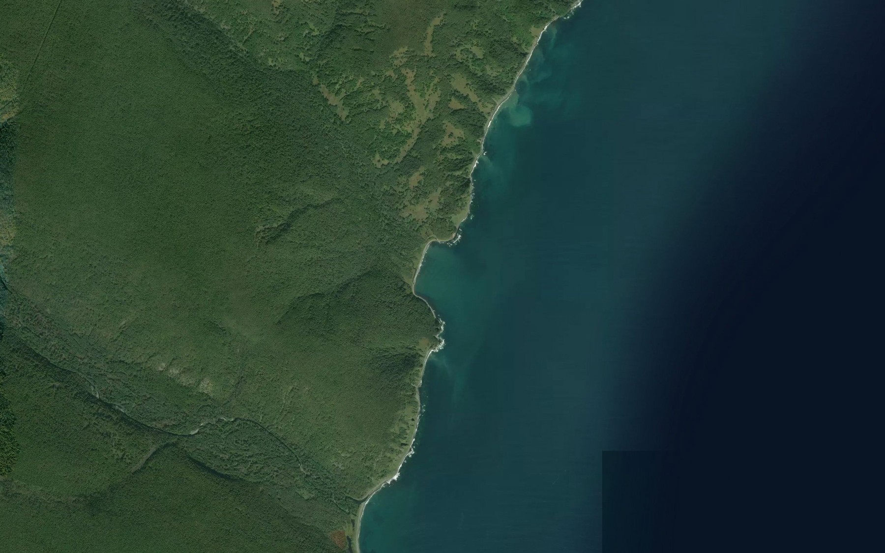 Satellite map of the Bukhta Buy