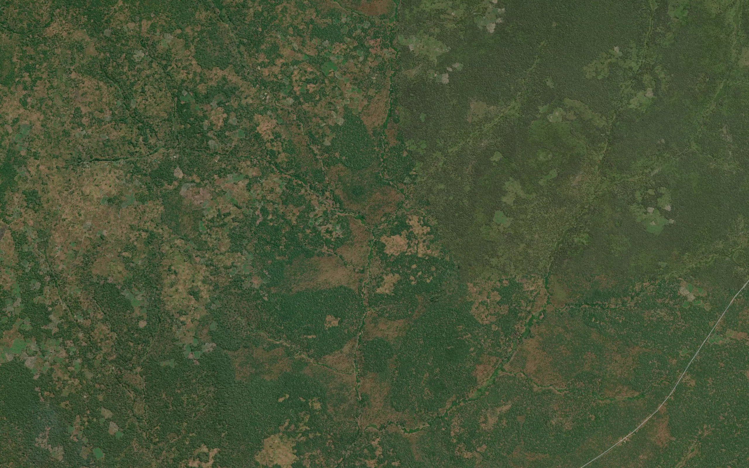Kameu