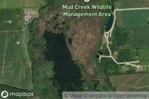 Mud Creek Pond