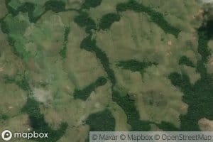 Buanginga