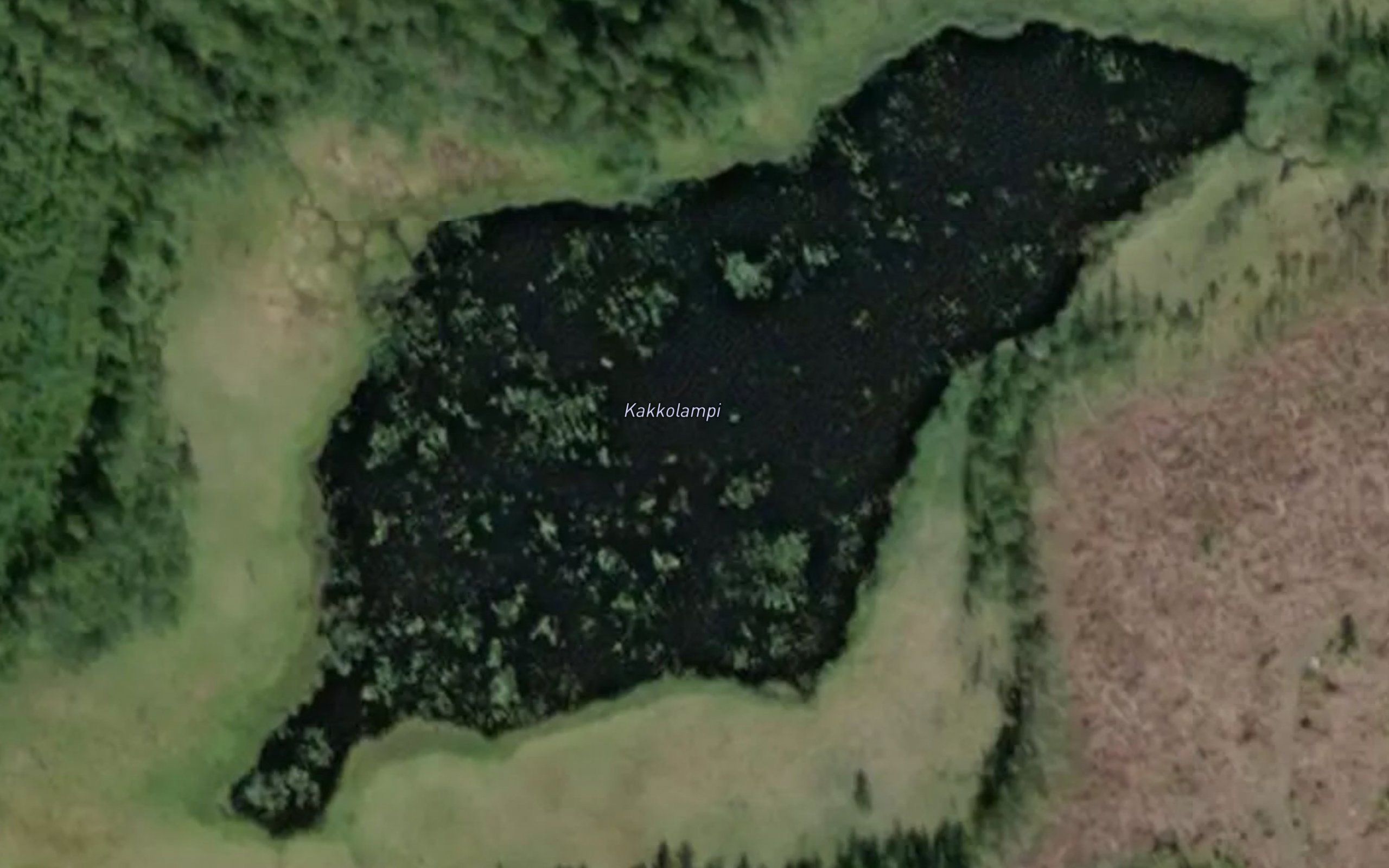 Kakkolampi
