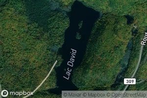 Lac David