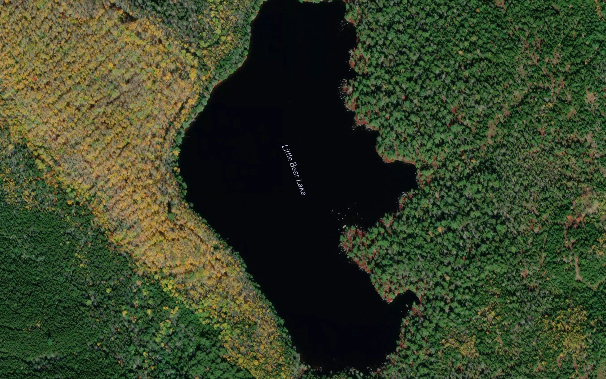 Little Bear Lake