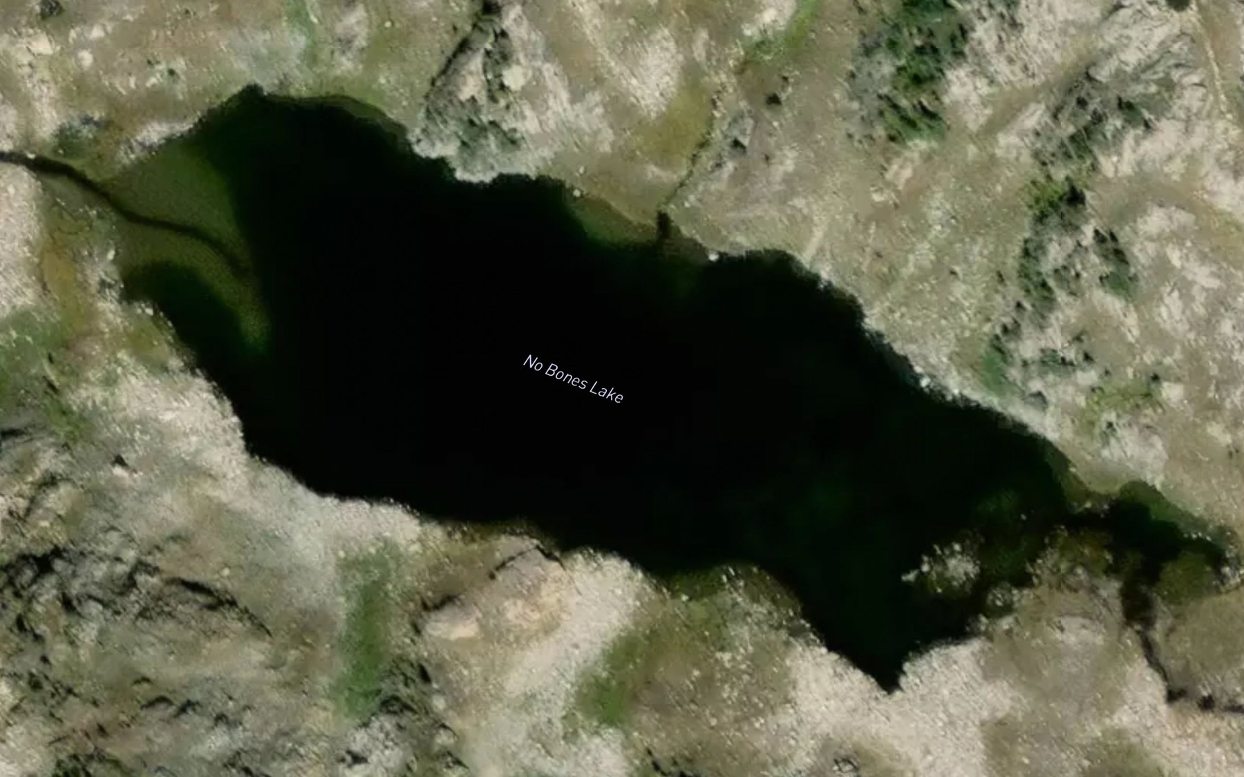 Satellite map of the No Bones Lake