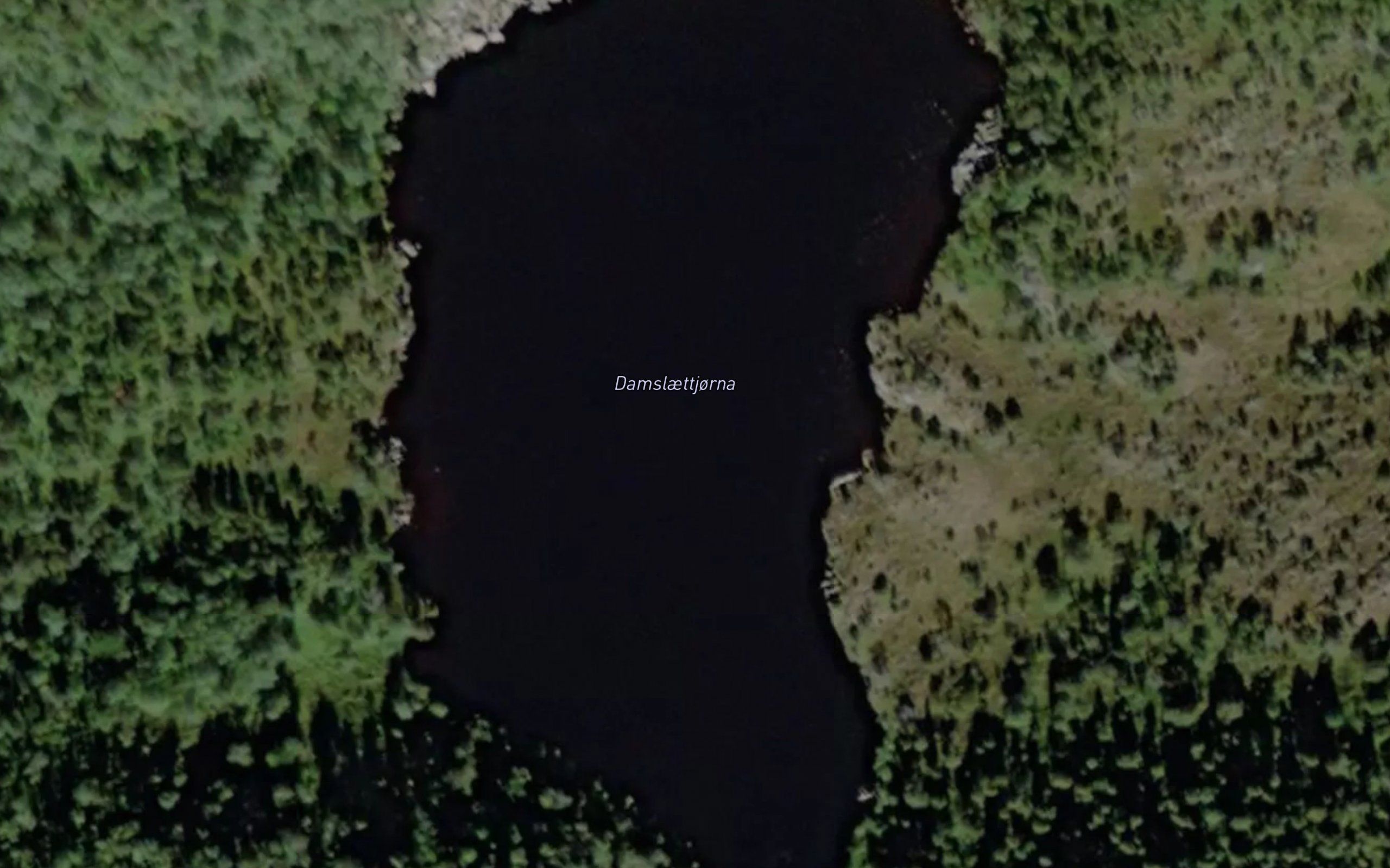 Damslaettjorna
