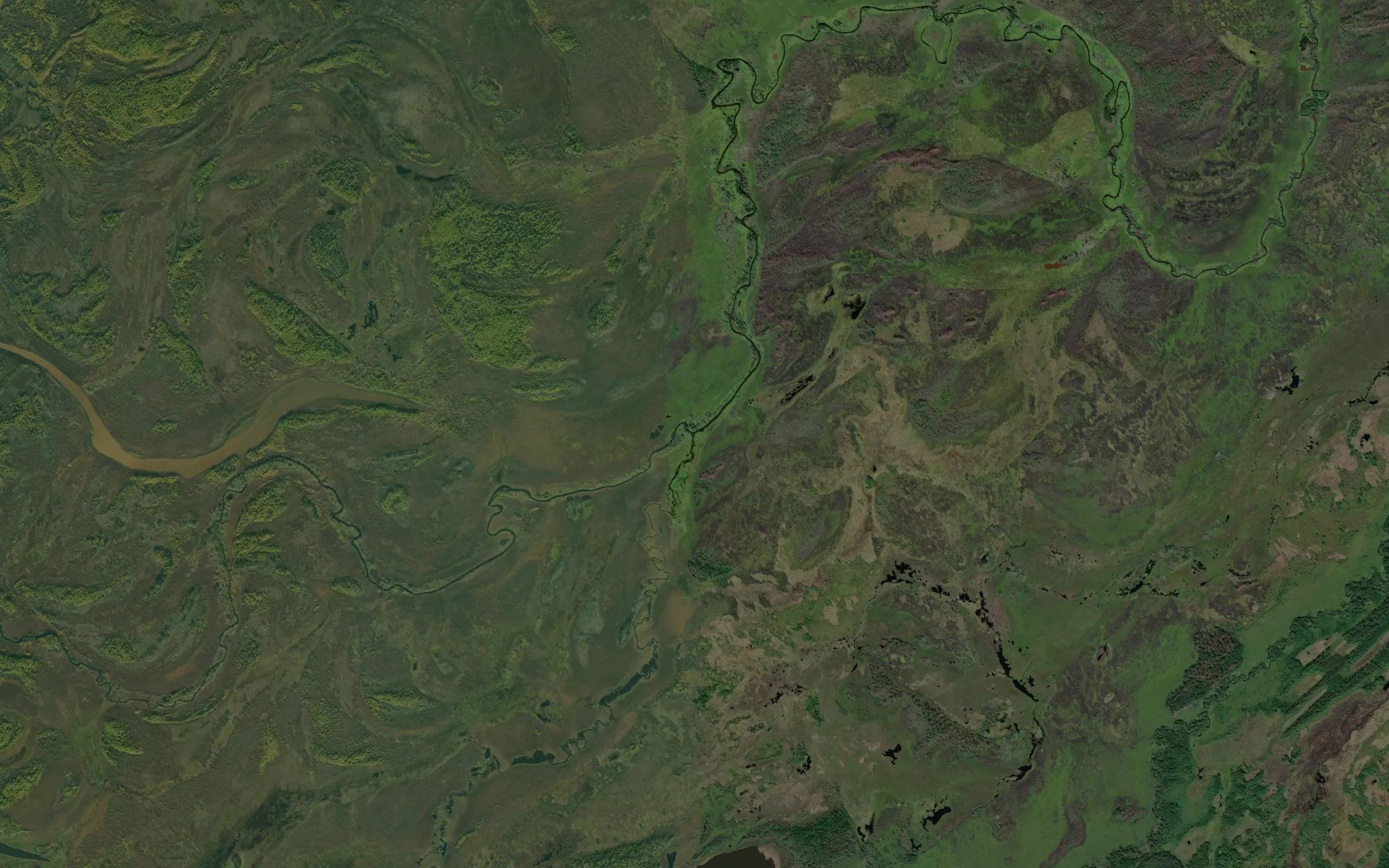Lomkolakh