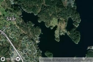 Storeboviki,austre